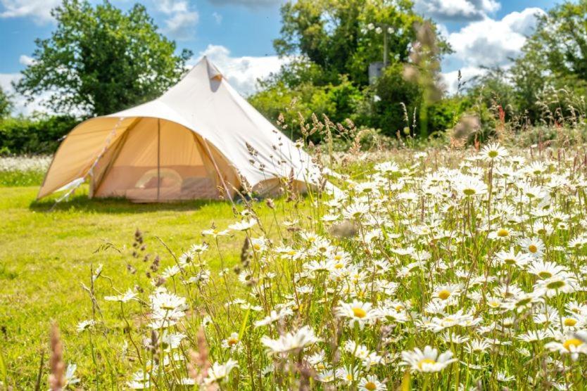 Ringstead Red Clover At Blanca'S Bell Tents别墅 外观 照片