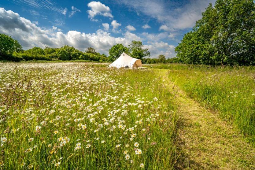 Ringstead Red Clover At Blanca'S Bell Tents别墅 外观 照片